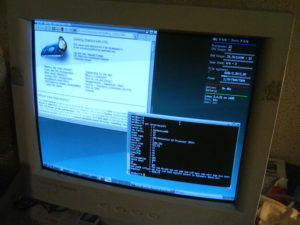 damn-small-linux-desktop Un bureau complet et réactif pour 30 Mo et sans disque dur, que demande le peuple ?